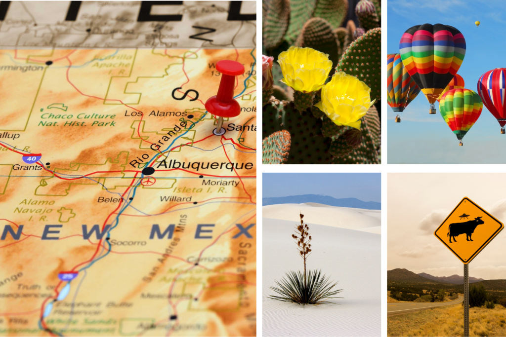 Tile gallery of NM map in sepia tones - left; Top row yellow cacti flower then hot air balloons; Bottom row - Yucca plant flowering in white sands then mountain road with cow and alien sign.