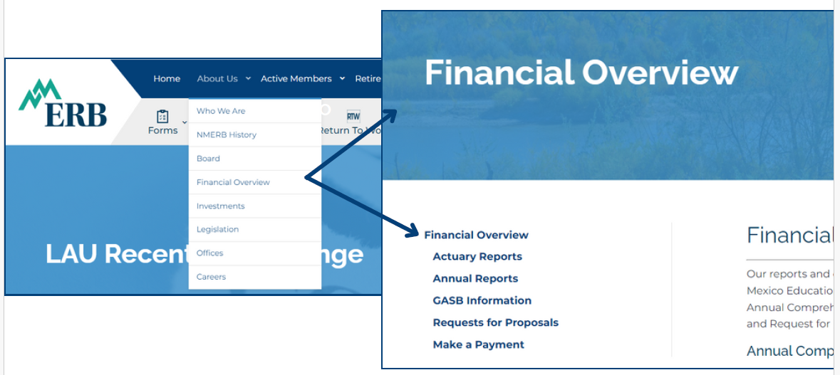Financial Overview diagram_08-30-2024 Financial Overview Section diagram